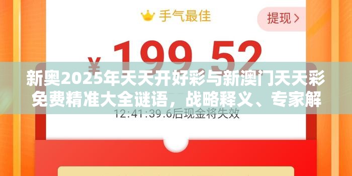 新奥2025年天天开好彩与新澳门天天彩免费精准大全谜语，战略释义、专家解析解释与落实,留心欺诈性营销