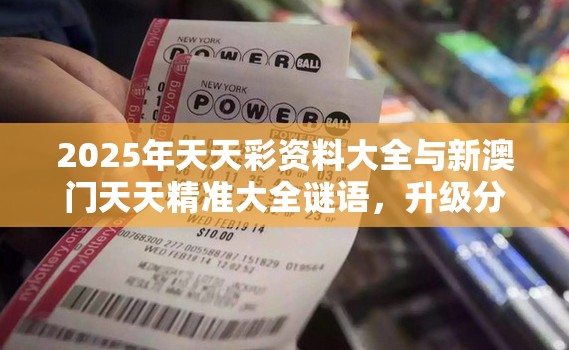 2025年天天彩资料大全与新澳门天天精准大全谜语，升级分析、专家解读解释与落实,谨防华而不实包装