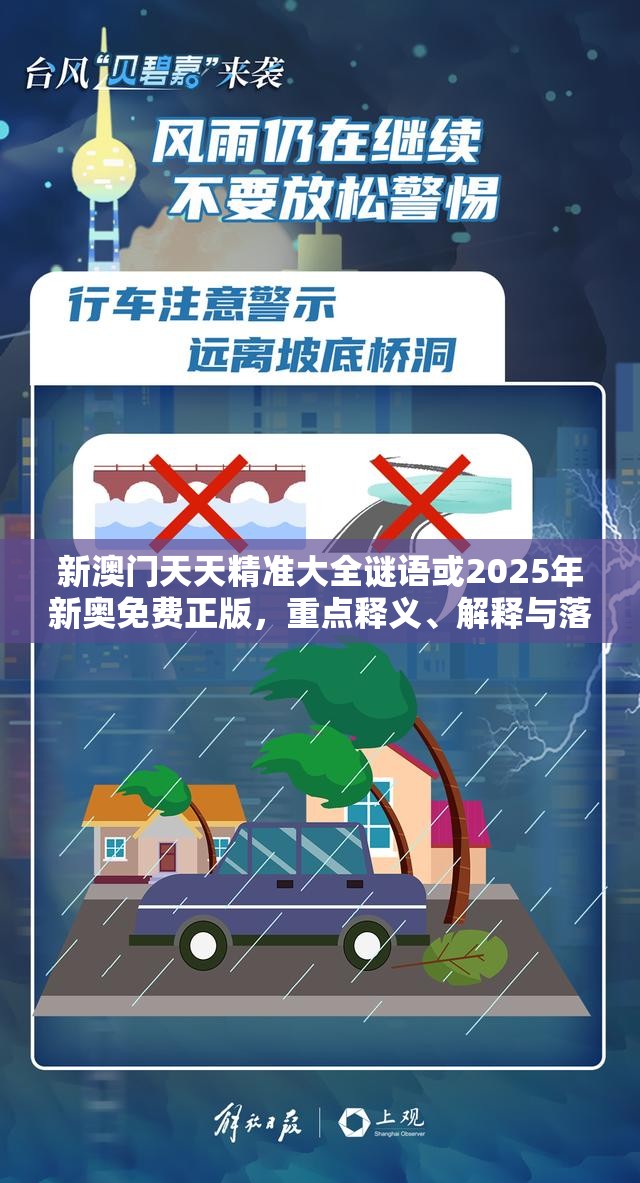 新澳门天天精准大全谜语或2025年新奥免费正版，重点释义、解释与落实,警惕不实的钓鱼钩