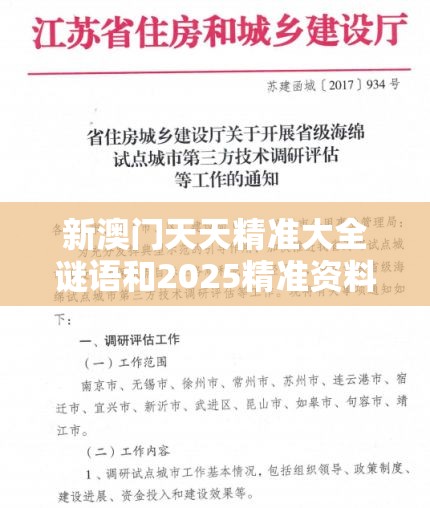 新澳门天天精准大全谜语和2025精准资料大全免费，杜绝欺诈的巧言辞-数字释义、专家解析解释与落实
