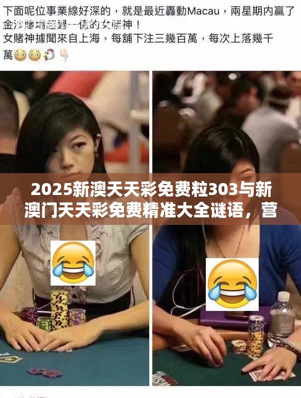 2025新澳天天彩免费粒303与新澳门天天彩免费精准大全谜语，营销释义、专家解析解释与落实,小心言过其实推广