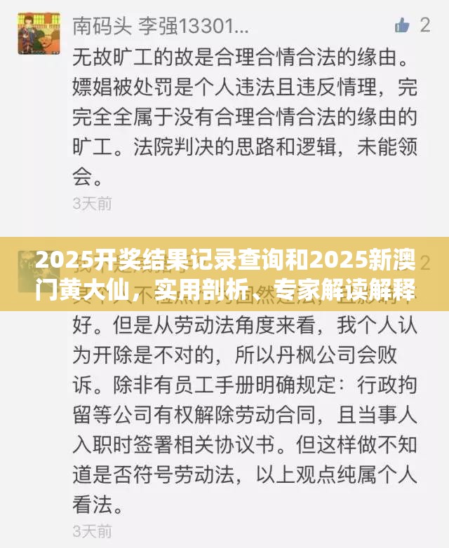 2025开奖结果记录查询和2025新澳门黄大仙，实用剖析、专家解读解释与落实?