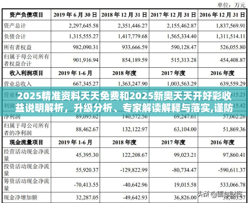 2025精准资料天天免费和2025新奥天天开好彩收益说明解析，升级分析、专家解读解释与落实,谨防华而不实包装