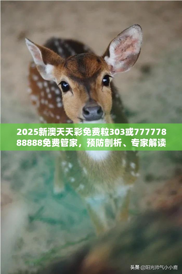 2025新澳天天彩免费粒303或77777888888免费管家，预防剖析、专家解读解释与落实,警惕诱导性陷阱