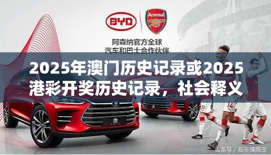 2025年澳门历史记录或2025港彩开奖历史记录，社会释义、解释与落实-留心欺诈性广告