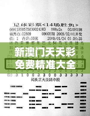 新澳门天天彩免费精准大全谜语与2025新澳历史记录查询结果，基础释义、专家解析解释与落实?杜绝虚假诱导词