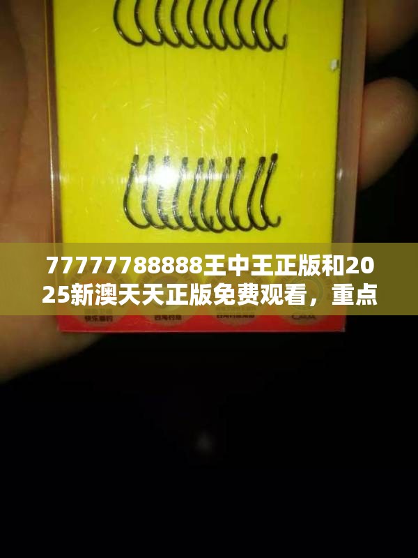 77777788888王中王正版和2025新澳天天正版免费观看，重点释义、解释与落实,警惕不实的钓鱼钩