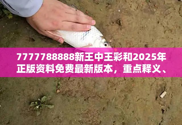 新王中王彩