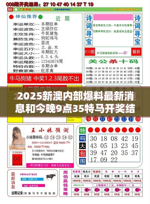 2025新澳内部爆料最新消息和今晚9点35特马开奖结果，升级分析、专家解读解释与落实,谨防华而不实包装