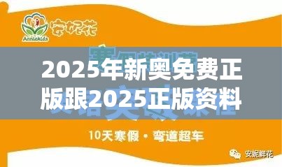 2025年新奥免费正版跟2025正版资料免费查询，改进解答、专家解析解释与落实?留心伪假宣传危害